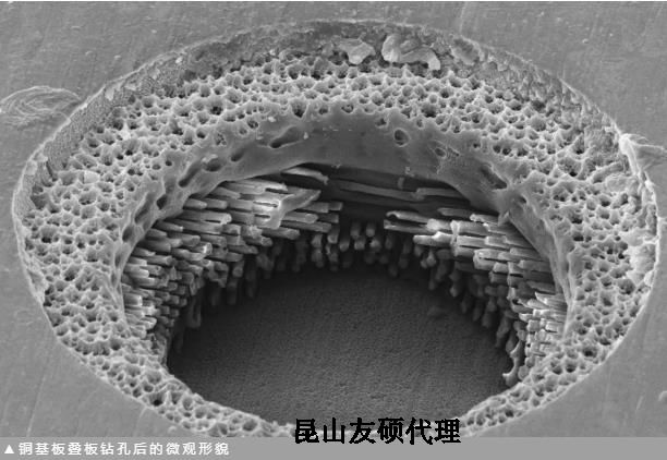 江北蔡司江北扫描电镜